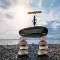 2020主‌流‍服﻿务﻿器​配‌置﻿参﻿数​